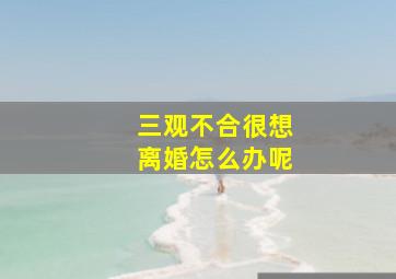 三观不合很想离婚怎么办呢