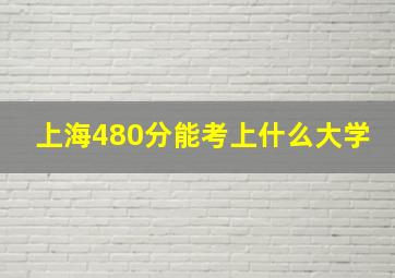 上海480分能考上什么大学