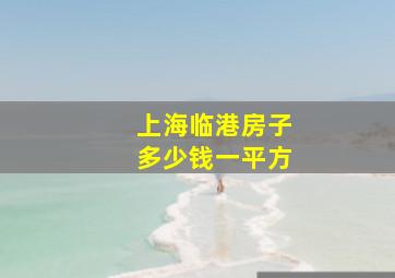 上海临港房子多少钱一平方