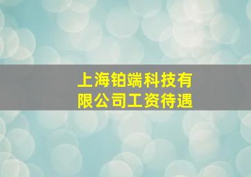 上海铂端科技有限公司工资待遇