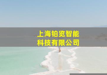 上海铂览智能科技有限公司