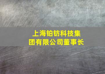 上海铂钫科技集团有限公司董事长