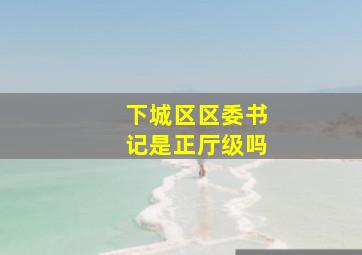 下城区区委书记是正厅级吗