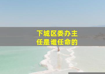 下城区委办主任是谁任命的