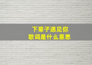 下辈子遇见你歌词是什么意思