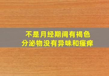 不是月经期间有褐色分泌物没有异味和瘙痒