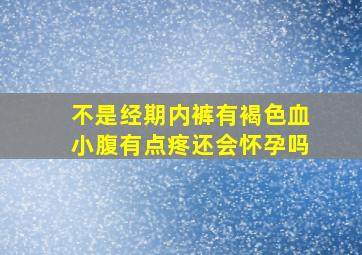 不是经期内裤有褐色血小腹有点疼还会怀孕吗