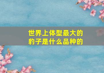 世界上体型最大的豹子是什么品种的