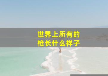 世界上所有的枪长什么样子