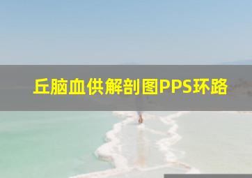 丘脑血供解剖图PPS环路