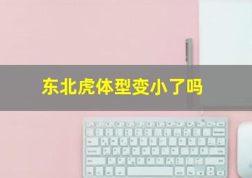 东北虎体型变小了吗