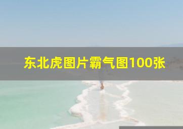 东北虎图片霸气图100张