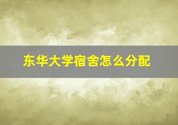 东华大学宿舍怎么分配