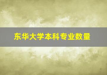 东华大学本科专业数量