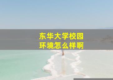 东华大学校园环境怎么样啊