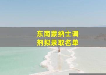 东南蒙纳士调剂拟录取名单