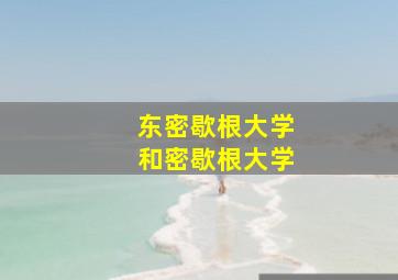 东密歇根大学和密歇根大学