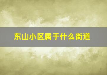 东山小区属于什么街道