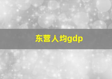 东营人均gdp