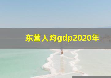 东营人均gdp2020年