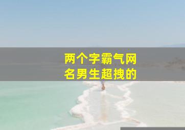 两个字霸气网名男生超拽的