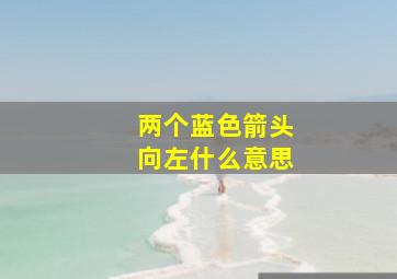 两个蓝色箭头向左什么意思