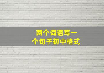 两个词语写一个句子初中格式