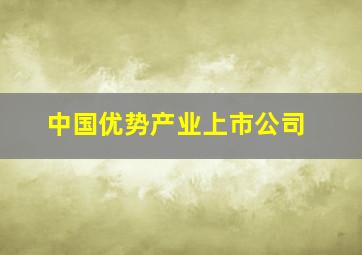 中国优势产业上市公司