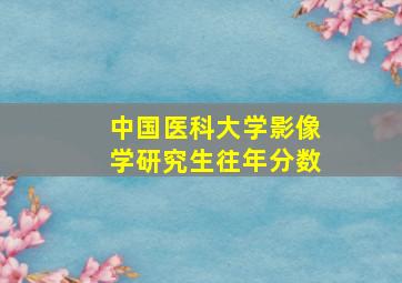 中国医科大学影像学研究生往年分数