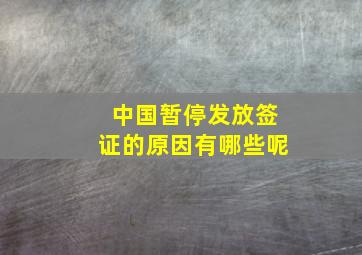 中国暂停发放签证的原因有哪些呢