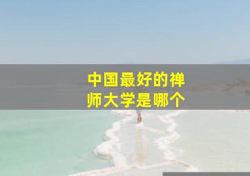 中国最好的禅师大学是哪个