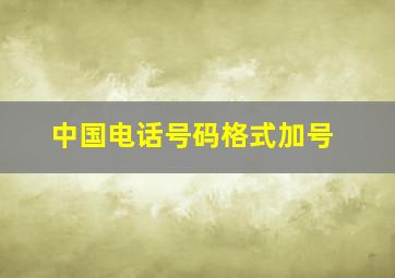 中国电话号码格式加号