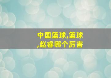 中国篮球,篮球,赵睿哪个厉害