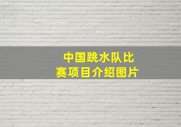 中国跳水队比赛项目介绍图片