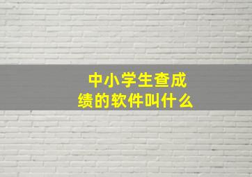 中小学生查成绩的软件叫什么