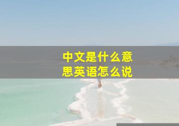 中文是什么意思英语怎么说