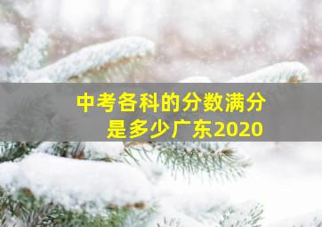 中考各科的分数满分是多少广东2020