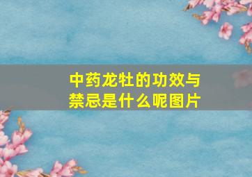 中药龙牡的功效与禁忌是什么呢图片