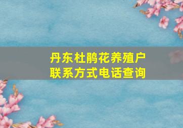 丹东杜鹃花养殖户联系方式电话查询