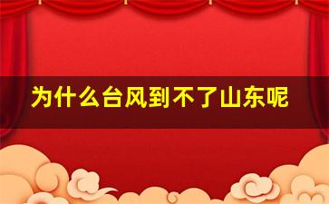 为什么台风到不了山东呢