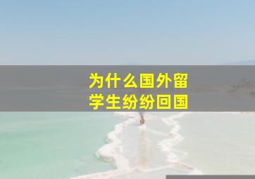 为什么国外留学生纷纷回国