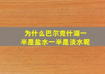 为什么巴尔克什湖一半是盐水一半是淡水呢