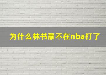 为什么林书豪不在nba打了