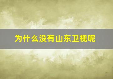 为什么没有山东卫视呢