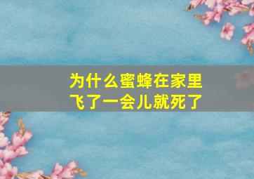 为什么蜜蜂在家里飞了一会儿就死了