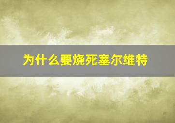 为什么要烧死塞尔维特