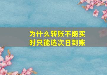 为什么转账不能实时只能选次日到账