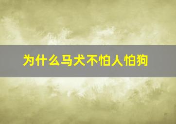 为什么马犬不怕人怕狗