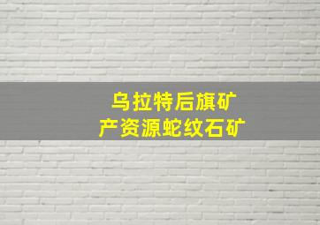 乌拉特后旗矿产资源蛇纹石矿