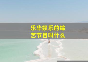 乐华娱乐的综艺节目叫什么